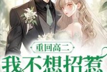重回高二，我不想招惹前世丈夫小说无弹窗阅读的网站推荐-经典文学