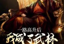 一路高升后，我成了武林超级BOSS小说，一路高升后，我成了武林超级BOSS免费阅读-经典文学