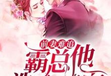 苏沐陆漾顾若为主角的小说前妻难追，霸总他洗心革面在线阅读-经典文学