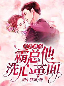 苏沐陆漾顾若为主角的小说前妻难追，霸总他洗心革面在线阅读