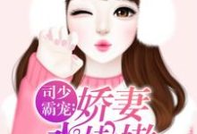 莫小绾司凌钺为主角的小说好看吗?求司少霸宠:娇妻水嫩嫩免费试读-经典文学