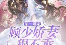 求第一婚宠:顾少娇妻狠不乖小说免费资源-经典文学