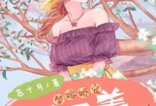替嫁娇宠:夫人又美又飒洛黎歌苏霆靳,替嫁娇宠:夫人又美又飒小说免费阅读-经典文学