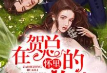 在线寻找在贺总的怀里放肆小说的无删减版本-经典文学