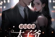 破镜重圆:太子爷他太霸道黎念靳宴深小说在线章节免费阅读-经典文学