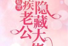 豪门私宠：残疾老公竟是隐藏大佬章节免费在线阅读， 叶蓁夜司寒完结版-经典文学