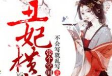 小说《丑妃横行,带个空间养王爷》章节免费阅读-经典文学