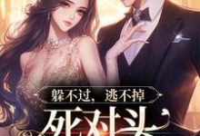主人公叫林曜谢星忱的小说躲不过,逃不掉,死对头顶级诱宠在线阅读章节-经典文学