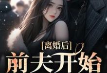 主人公叫盛以安傅承烨的小说离婚后,前夫开始爱我了在线阅读章节-经典文学