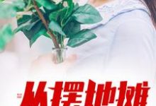 免费看从摆地摊开始崛起小说的网站有哪些?-经典文学