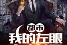 都市:我的左眼有神通小说,都市:我的左眼有神通章节在线阅读-经典文学
