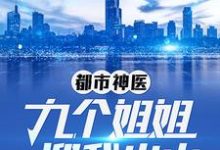 都市神医：九个姐姐迎我出山小说的无弹窗阅读体验，寻找免费阅读网站-经典文学