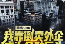 已完结小说《重返1980：我靠倒卖外企成为金融巨头》章节免费阅读-经典文学