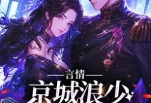 言情:京城浪少苦追妻林栀沈斯屹,言情:京城浪少苦追妻在线无弹窗阅读-经典文学