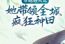 小说《穿越遇灾荒,她带领全城疯狂种田》在线章节阅读-经典文学