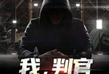 林牧是哪本书的主角?寻找我,判官,军统界第一人免费阅读-经典文学