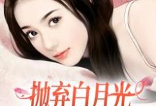 小说《抛弃白月光,我爱上了童养媳》章节免费阅读-经典文学