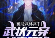 欧阳白为主角的小说叫什么?免费看他是武林高手:武状元穿越来现代-经典文学