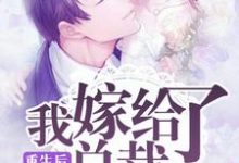 重生后,我嫁给了总裁苏小鱼季东阳小说免费阅读-经典文学