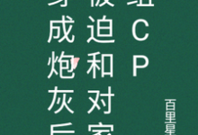 寻找穿成炮灰后被迫和对家组cp小说的最新更新章节-经典文学