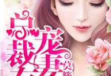 求总裁宠妻有道小说免费资源-经典文学