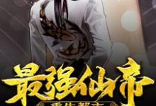 已完结小说《最强仙帝重生都市》章节在线阅读-经典文学