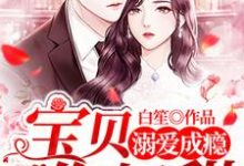 免费看溺爱成瘾:宝贝,你好甜小说的网站有哪些?-经典文学