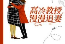 主人公叶宇宸沈念小说高冷教授漫漫追妻在线章节阅读-经典文学