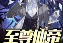免费阅读秦易苏沐夏为主角的小说，至尊仙帝在都市在线看-经典文学