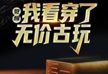 完结版《觉醒！我看穿了无价古玩》章节阅读-经典文学