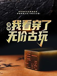 完结版《觉醒！我看穿了无价古玩》章节阅读