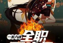 一发入魂:全职召唤师叶佐乔达索洛伊,一发入魂:全职召唤师章节在线阅读-经典文学