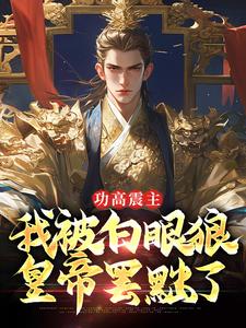 功高震主，我被白眼狼皇帝罢黜了陈风朱棣小说免费阅读