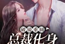 破镜重圆:总裁化身宠妻狂魔小说的无弹窗阅读体验,寻找免费阅读网站-经典文学