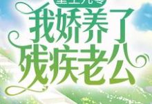 孟柒娣凌骁是哪本书的主角？重生九零：我娇养了残疾老公免费读-经典文学