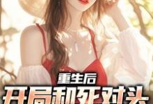 想读陆铮夏无双的故事,哪里可以免费找到重生后,开局和死对头一起创业?-经典文学