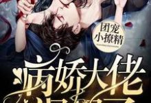 完结版《团宠小撩精:病娇大佬飒爆了》章节阅读-经典文学