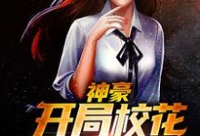 神豪：开局校花缠上我张扬韩文丽林雅雅苏芮琪，神豪：开局校花缠上我小说免费阅读-经典文学