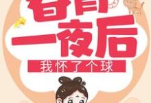 春宵一夜后我怀了个球这本小说怎么样？免费在线阅读试试-经典文学
