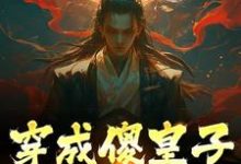 穿成傻皇子，我大闹京都章节免费在线阅读，萧万平赵十三完结版-经典文学