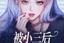 霍时璟叶晚为主角的小说好看吗?求被小三后,我独自美丽了!免费试读-经典文学