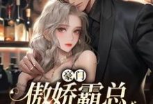 主人公叫叶蓁蓁陆席的小说哪里免费看-经典文学