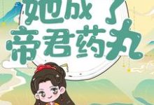 穿越后，她成了帝君药丸楼柒沉煞陈十轩辕战，穿越后，她成了帝君药丸章节在线阅读-经典文学