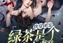 哪里能找到快穿团宠：绿茶是个撩人精小说的最新更新和免费章节？-经典文学