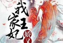 寻找我家王妃娇又萌小说的最新更新章节-经典文学