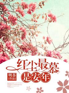 《红尘最慕是安年》全集免费在线阅读（慕安年沈宴尘）