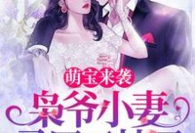 萌宝来袭，枭爷小妻马甲又掉了言西澄陆乘枭，萌宝来袭，枭爷小妻马甲又掉了小说免费阅读-经典文学