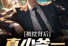 《被挖肾后，真少爷一心搞事业》小说章节列表免费试读，路远小说在线阅读-经典文学