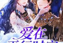 凌风蕊是哪本书的主角？爱在平行时空免费读-经典文学