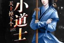 求推荐可以免费阅读天上掉下个小道士小说的网站-经典文学